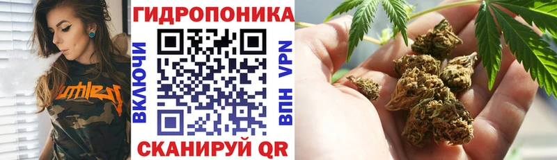 Купить где  Калязин  Бошки марихуана White Widow 